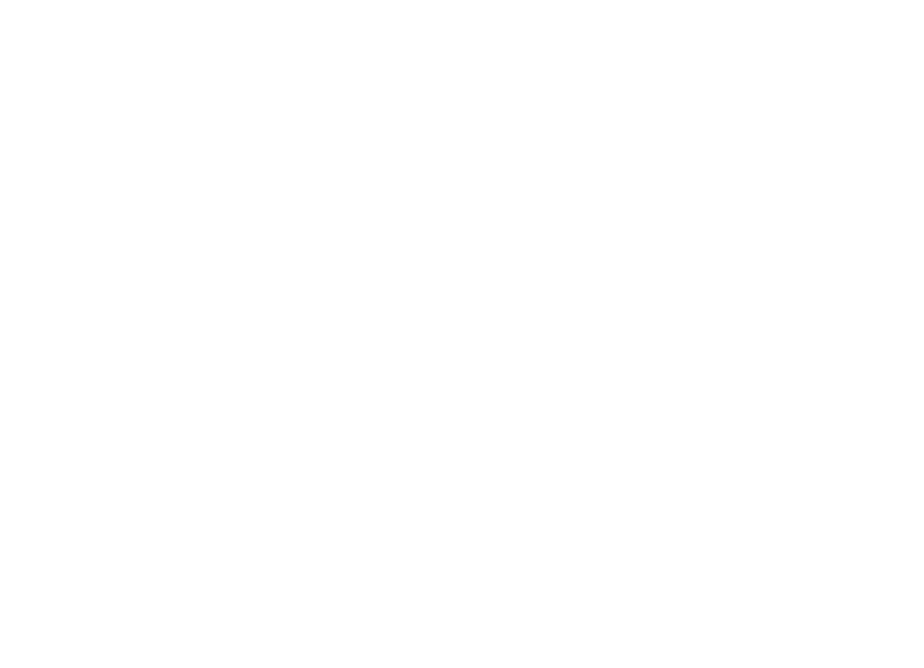 NB Professional